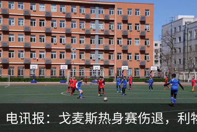 电讯报：戈麦斯热身赛伤退，利物浦眼前的最优解就是签斯通斯